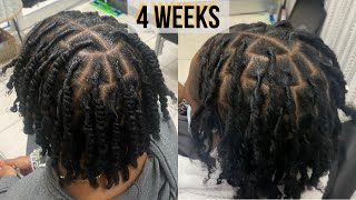 Starter Locs Twists Vs Coils  Loctician Advice [upl. by Negah]