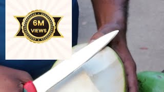 😱😱Amazing Coconut Cutting Skills😱😱  India youtube trending coconut foodie streetfood fruit [upl. by Odnomra]