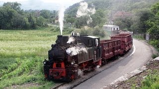 Schmalspurbahn Brad  Criscior HD Narrow Gauge Steam Railway Romania [upl. by Iznil]