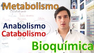 Metabolismo y Rutas metabólicas Anabolismo y Catabolismo EN 11 MINUTOS [upl. by Marilyn]