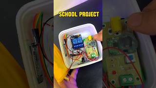 DIY Science Project for School  Fun amp Easy Experiment [upl. by Lesnah623]