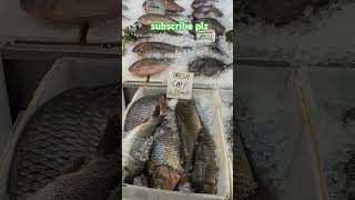 Fresh Fish broad range in Nottingham Hyson green Nottingham fish monger [upl. by Ailecnarf925]