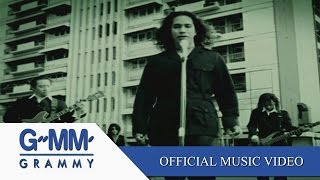 เพลงนี้เกี่ยวกับความรัก  SILLY FOOLS 【OFFICIAL MV】 [upl. by Nosnar697]