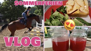 XXL Sommerferien Vlog  One day in my life  Seepferd [upl. by Nosnaj]