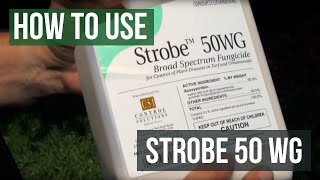 Strobe 50 WG Fungicide Azoxystrobin How To Use [upl. by Wulf]