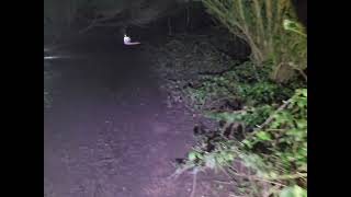 Llandaff Cathedral Graveyard walk 4 [upl. by Kiraa]