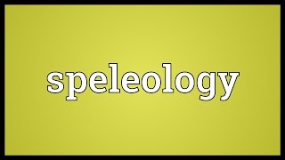 Speleology Meaning [upl. by Zipporah492]