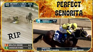 PERFECT SENORITA 🌺 killed Belmont at the Big A 92423 thenyra horseracing [upl. by Giacamo681]