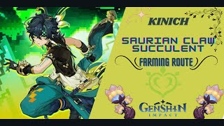 The easiest and sufficient way Kinich material farming Route  Genshin Impact [upl. by Siradal]