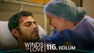 Rüzgarlı Tepe 116 Bölüm  Winds of Love Episode 116 [upl. by Adriana25]