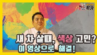 새 차살때 색상 고민 이 영상 하나면 해결 [upl. by Nickelsen]