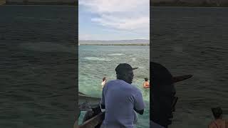 Beautiful Ocean view at Floyd’s Pelican bar Jamaica 😍🇯🇲 shorts [upl. by Haliehs]