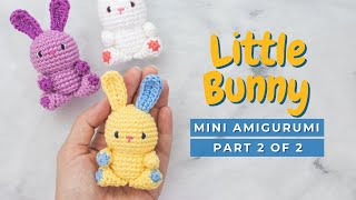 How to crochet a bunny Little Easter Bunny amigurumi tutorial pattern PART 2 [upl. by Lashoh567]