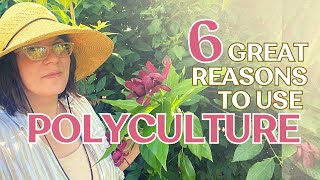 6 Great Reasons to Use Polyculture In Your Garden [upl. by Sydalg]