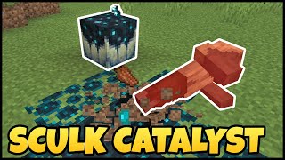 How To Use The SCULK CATALYST In MINECRAFT [upl. by Siaht]