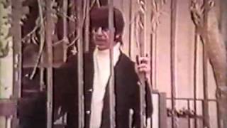 Mark Lindsay  Miss America tv clip [upl. by Alleber596]