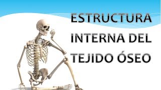 Estructura interna del tejido óseo [upl. by Jeanie76]