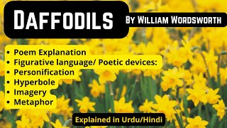 Daffodils by William Wordsworth  Explanation  Figurative language Poetic devices  Urdu Hindi [upl. by Naynek282]