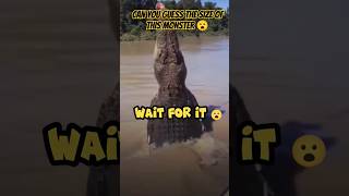 Jaws Unleashed Massive Crocodiles Epic Aerial Assaultshorts crocodile jaws lolong alligator [upl. by Rennerb495]