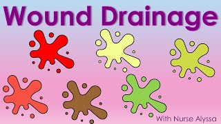 Types of Wound Drainage [upl. by Ellette]