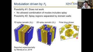 Director Deformations Geometric Frustration and Modulated Phases in Liquid Crystals [upl. by Cathrin]