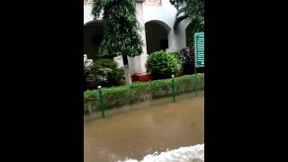 panimalar engineering college in flood [upl. by Evelunn]