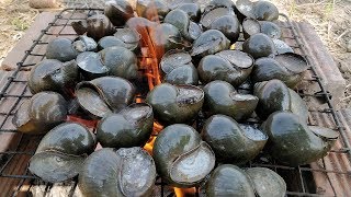 Grilled Snail Recipe  Simple River Snail Cooking With Yummy Sauce [upl. by Wolfy775]