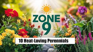 10 HeatLoving Perennials for a Thriving Zone 9 Garden  SunKissed Garden Tips [upl. by Anytsyrk784]