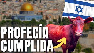 🚨 6 Señales en ISRAEL del FIN de los TIEMPOS sucediendo AHORA Profecías Bíblicas Apocalipsis Dios [upl. by Stanzel844]