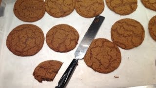 Ultra Soft amp Chewy Ginger Cookies  A Great Autumn Recipe from bakeyourwaykitchen [upl. by Aseretairam]