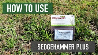 How to Use Sedgehammer Plus Get Rid of Nutsedges Fast [upl. by Galanti668]