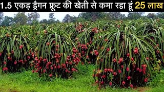 42 लाख सालाना की नौकरी छोड़ गाव मे शुरू की ड्रैगन फ्रूट की खेती  Dragon Fruit farming plant cutting [upl. by Madancy]