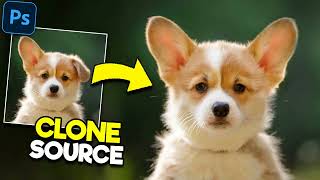 PHOTOSHOP  Clone Stamp Tool  Adobe Photoshop Tutorial for Beginners [upl. by Urian]