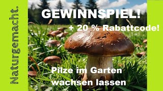 Geheimtipp und Gewinnspiel Waldpilze im Garten oder zu Hause wachsen lassen [upl. by Loring585]