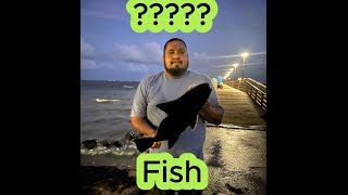 Public pier fishing in Copus Christi Tx Philip Dimmitt Municipal Pier [upl. by Seligmann]