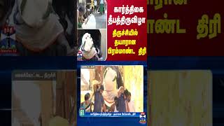 கார்த்திகை தீபத்திருவிழா  தயாரான பிரம்மாண்ட திரி  Trichy  Malaikottai  ThanthiTV [upl. by Pepper]