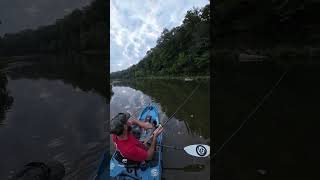 Rock Bass on Crooked Creek  Kayak Fishing  Bonafide RVR 119  Nature [upl. by Animehliw83]