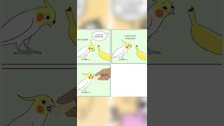 Why I Love Comics 612 cartoon cat art comic sundaycomics drawing game meme animation bird [upl. by Thisbee]