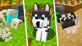 Add 31 NEW Dog Breeds to Minecraft With This Resource Pack  Better Dogs [upl. by Kano]