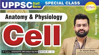 Cell Anatomy amp Physiology [upl. by Rik]