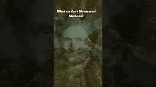 What are the 5 Montessori Methods mariamontessori history shortsfeed youtubeshorts [upl. by Erej]