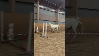 christmas horse equestrian 2024 2024 häst riding jumping horseriding automobile dressage [upl. by Rattray]