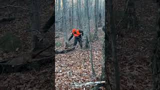 Dragging big bucks off big mountains in Maine has its challenges maine whitetaildeer bigbucks [upl. by Anesor664]