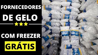 FORNECEDORES DE GELO PARA REVENDA COM FREEZER COMODATO [upl. by Lisa]