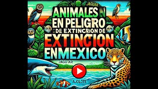 Algunos animales en peligro de extincion en mexico [upl. by Noirod]