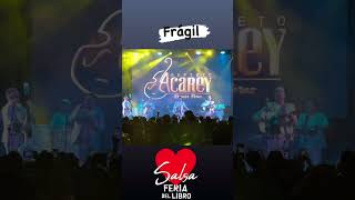 Septeto Acarey Frágil EN VIVO Feria Internacional del Libro Lima 2024 [upl. by Samuela]