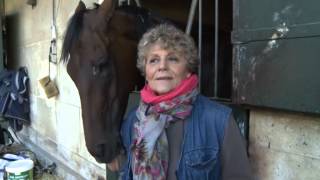 Prix de lArc de Triomphe 2013 Cirrus Des Aigles feature [upl. by Larianna]