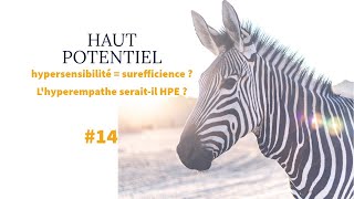 HAUT POTENTIEL 14 Hypersensibilité  surefficience  Le profil HPE seraitil un hyperempathe [upl. by Waers]