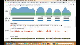 genomAD Genome Aggregation Database [upl. by Nilhtac]