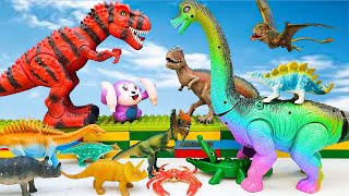 Evolution Of RAINBOW TREX GREEN LONG NECK RED DINOSAURUS SHARKZILLA Dilophosaurus Mosasaurus Kong [upl. by Xanthus481]